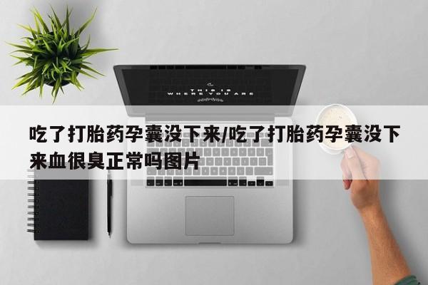 网上微信米非司酮片在线购吃了打胎药孕囊没下来/吃了打胎药孕囊没下来血很臭正常吗图片